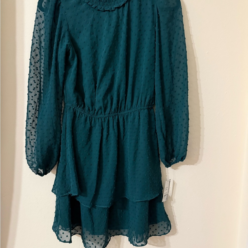 Crystal Doll Green Long Sleeve Dress
